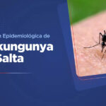 Salta confirma 225 casos positivos de Chikungunya